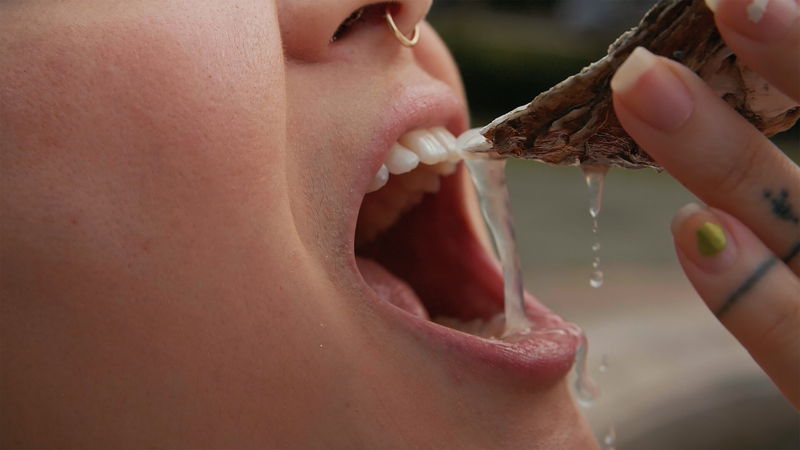 繁殖のために性別を変えることもある牡蠣から見えるものを追う　「水の中で息をする」公開決定