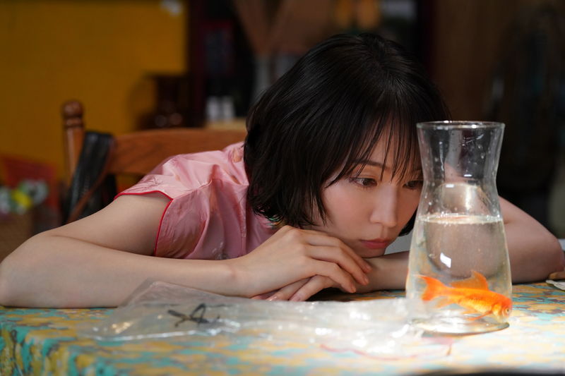 吉岡里帆　ショートヘア＆チャイナ服で魅惑の変身　可憐＆妖艶見せる　「九龍ジェネリックロマンス」