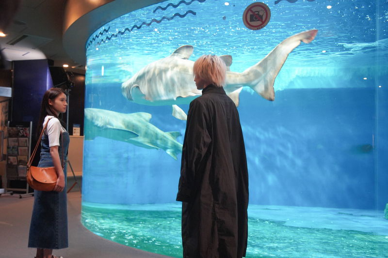 土屋太鳳と佐久間大介の水族館デート　金子ノブアキとは名画座デート　「マッチング」場面写真
