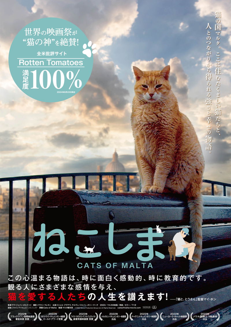 世界屈指の”猫島”であるマルタ共和国に迫るドキュメンタリー　「ねこしま」公開決定