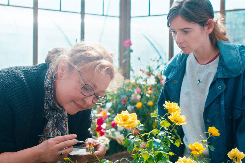 バラ交配に集中するバラ育種家　演じるのはカトリーヌ・フロ　「ローズメイカー 奇跡のバラ」場面写真公開