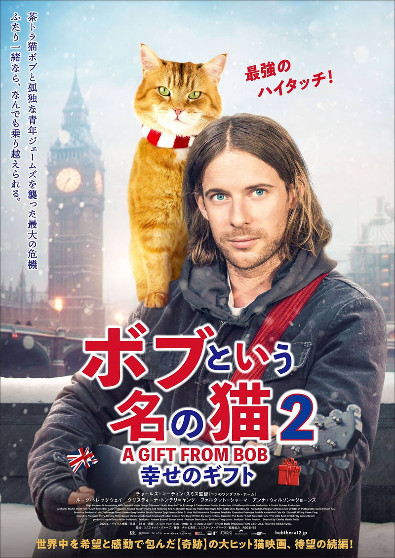 ホームレスと茶トラの野良猫　奇跡の実話ふたたび　「ボブという名の猫２」2月公開