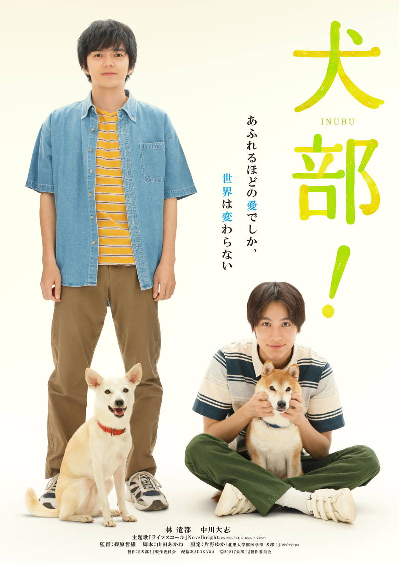 林遣都＆中川大志　動物を守るために奮闘　映画「犬部！」公開日決定　ティザービジュアル公開