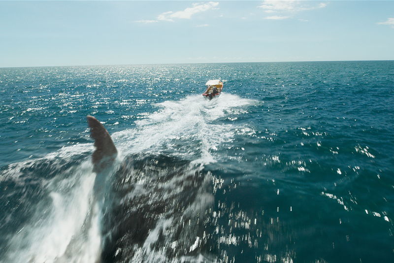 キバをむいて、海中で人間に迫る超巨大ザメ　「ブラック・デーモン」場面写真