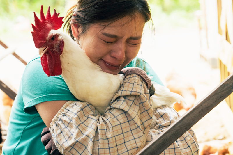 台湾の38歳独身女性　マッチングアプリで出会った“運命の人”を追ってパリへ　「サリー」公開決定