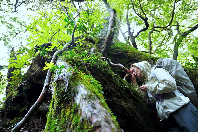 愛のかたちと命のつながりをモチーフに、失踪と心臓移植の現実を重ねて描く 「たしかにあった幻」予告