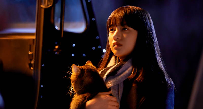 冬嫌いの猫のピート、夏に続く扉を探し続ける姿　映画「夏への扉」特別映像