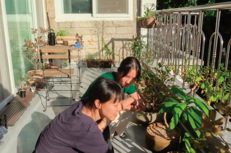 元女優と老詩人 交わりそうで交わらない一日の物語 ホン・サンス監督「私たちの一日」ビジュアル