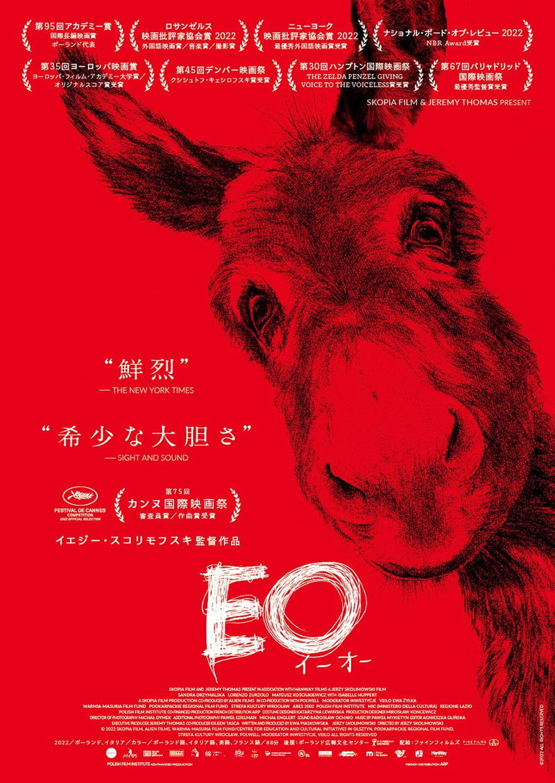 ロバの視点から人間のおかしさと愚かさを体感　イエジー・スコリモフスキ監督「EO」ポスター公開