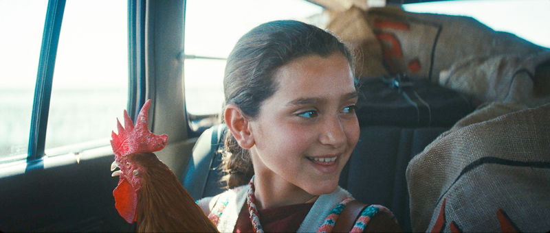 1990年代イラク　フセイン大統領を祝うケーキ係に指名された9歳の少女の奮闘　「大統領のケーキ」公開決定