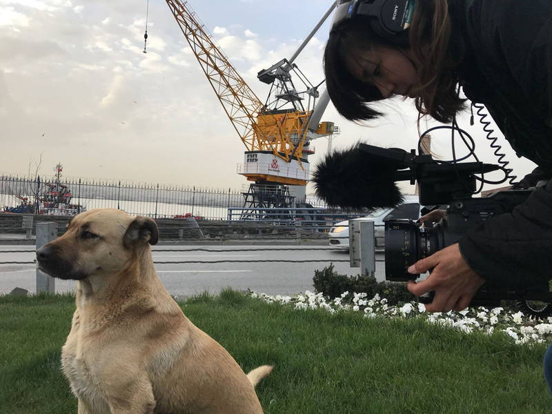 犬目線のローアングル　犬の聴覚を映画的に表現　「ストレイ 犬が見た世界」メイキング