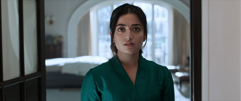 バイオレンス描写やダークヒーロー像にインドで賛否両論　「ANIMAL」公開決定