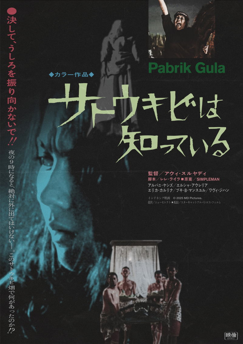 女性に迫りくる大量のサトウキビの束 不気味な笑みを浮かべる女性 「サトウキビは知っている」本編映像