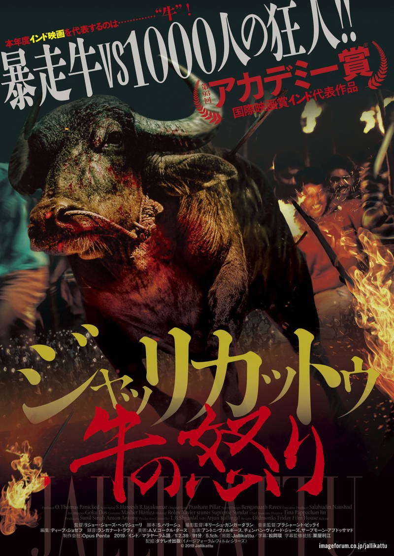 牛の暴走が人間同士の醜い争いに　インド発スリラー・パニック映画「ジャッリカットゥ 牛の怒り」7月公開