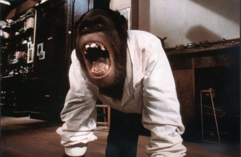 頭脳明晰なチンパンジーが女子大生を襲う！　本物ならではの恐怖が見事な動物ホラー　『リンク』