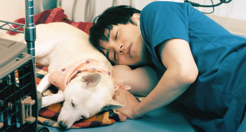 パートナーの犬と眠りこけてしまう林遣都　子猫を見つめる大原櫻子　「犬部！」場面写真公開