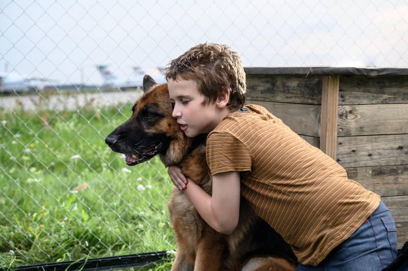 日露合作映画「ハチとパルマの物語」　モスクワ国際映画祭出品決定　ロシアで語り継がれる忠犬描く