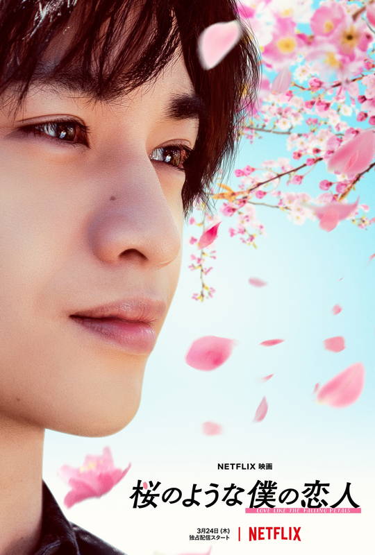 中島健人の絶叫　松本穂香の笑顔　Mr.Childrenの主題歌も　「桜のような僕の恋人」予告
