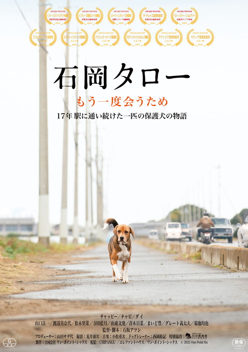 飼い主の女の子と再会するため、17年間駅に通い続けた保護犬の実話を映画化　「石岡タロー」東京公開決定