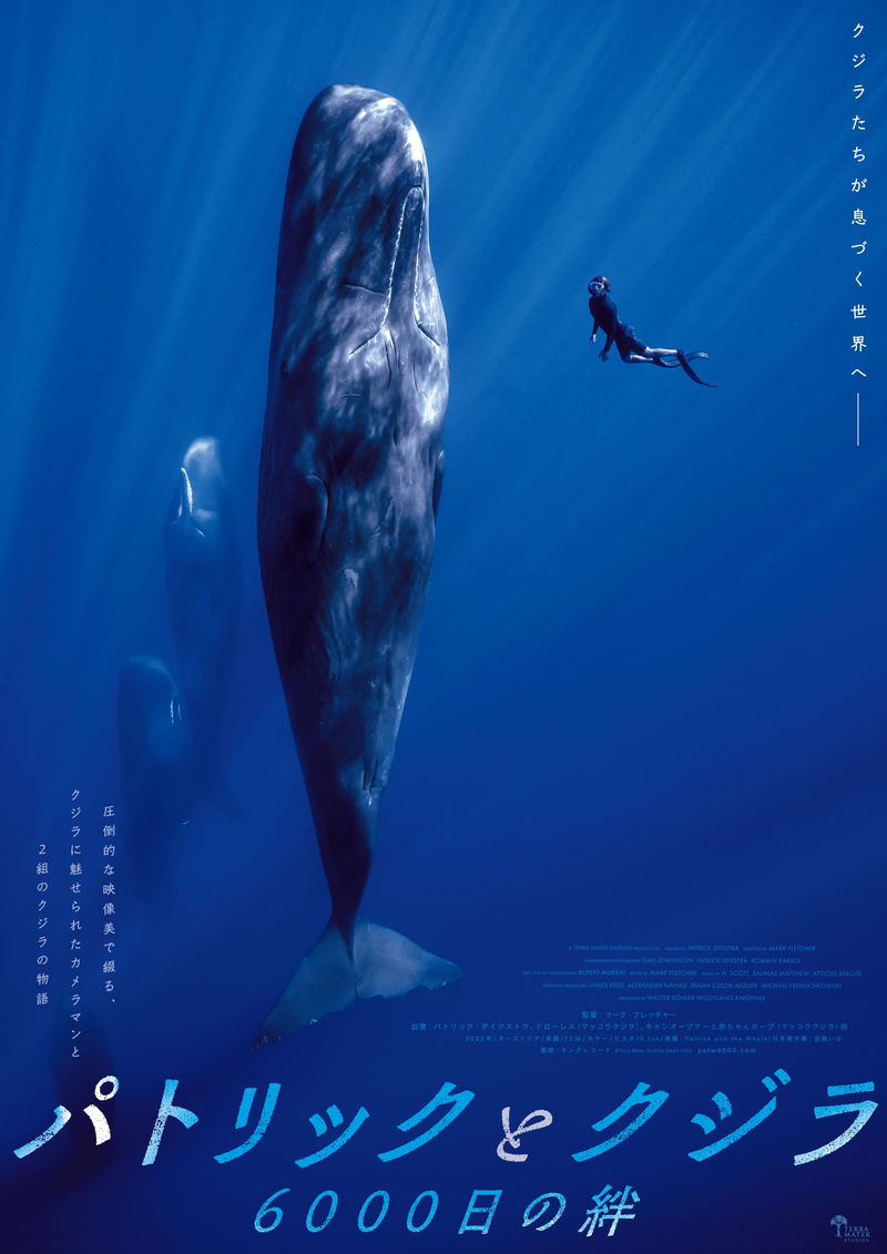 クジラに魅せられたカメラマンとクジラたちの親密な交流　ドキュメンタリー「パトリックとクジラ」公開決定