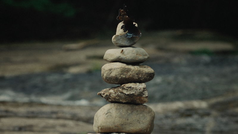 17歳の少女と父とその友人による3日間のキャンプ　大人の不完全さに気づく　「グッドワン」場面写真