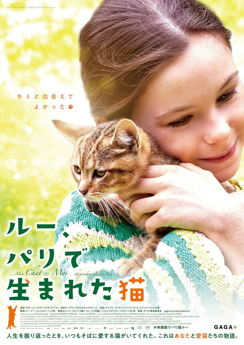 パリを舞台に、少女の目を通して愛猫との絆を描く　「ルー、パリで生まれた猫」公開決定
