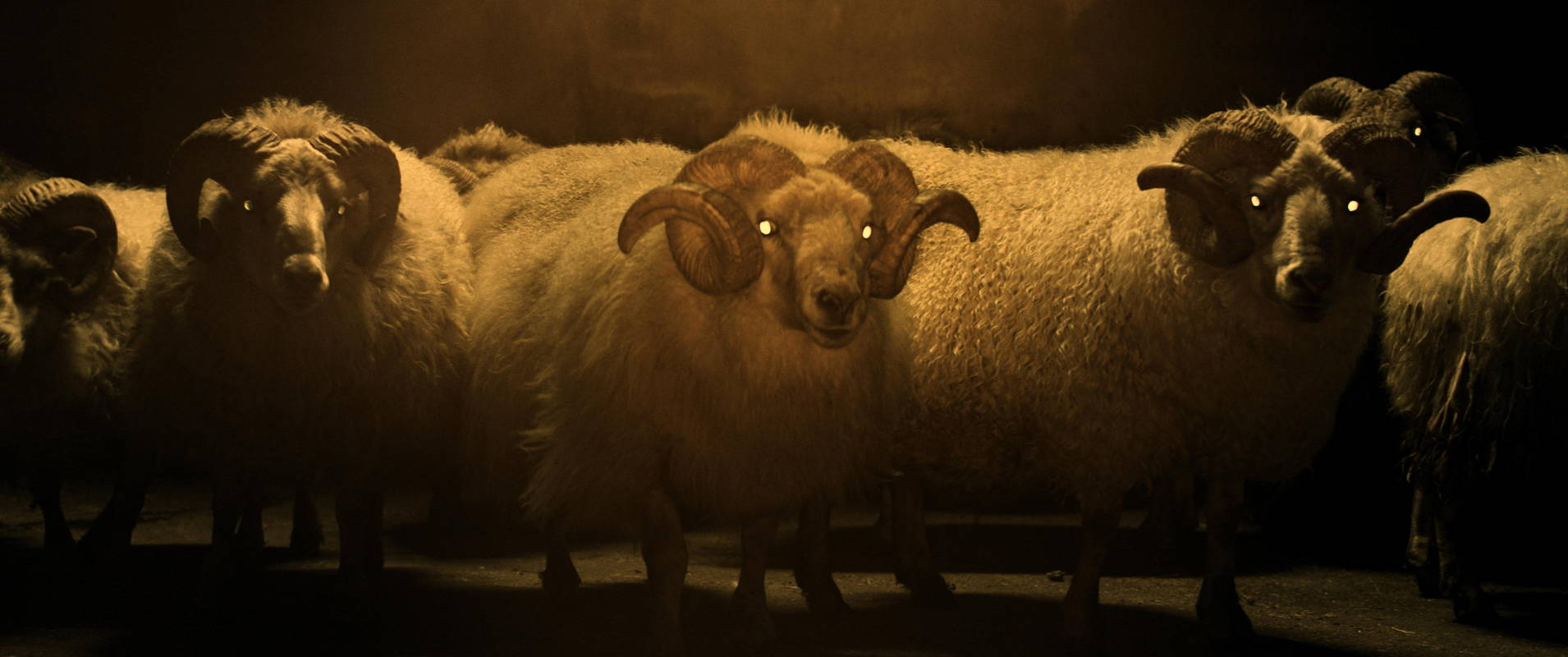 二足歩行で歩く、羊から産まれた“羊ではない何か”　キスする姿も　「LAMB／ラム」場面写真