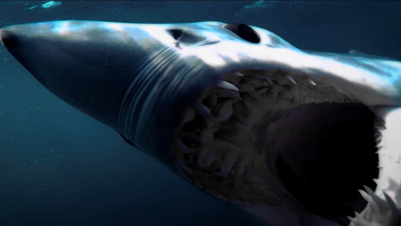 サイコパス船長　怖がる乗客に「Baby Shark」を歌って勇気づける　「デンジャラス・アニマルズ」本編映像