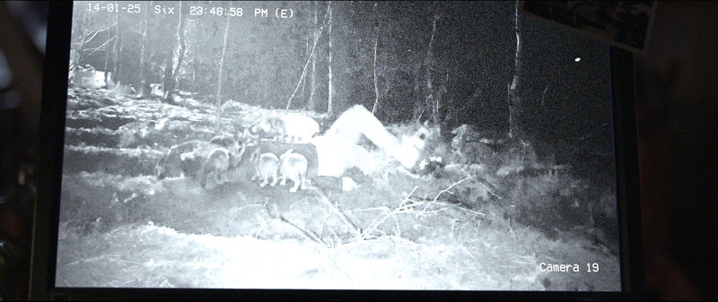 群れを成して人間たちに襲い掛かる狂気のウサギ　とんすけが狂獣化　「子鹿のゾンビ」場面写真