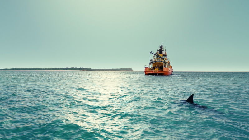 サイコパス船長　怖がる乗客に「Baby Shark」を歌って勇気づける　「デンジャラス・アニマルズ」本編映像