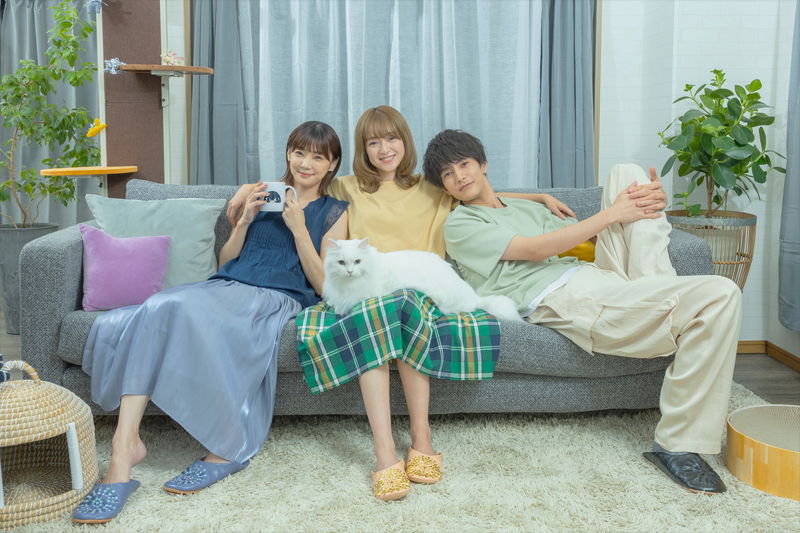 安達祐実、倉科カナ、渡邊圭祐主演　迷える3人と猫の共同生活物語　「三日月とネコ」実写映画化