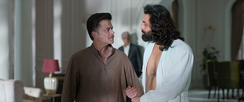 バイオレンス描写やダークヒーロー像にインドで賛否両論　「ANIMAL」公開決定