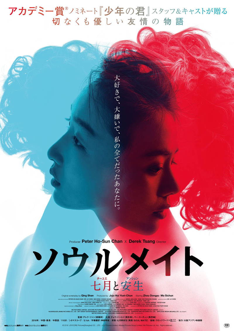 人気ネット小説に登場する女性2人の半生と真実描く　「ソウルメイト／七月と安生」予告編公開