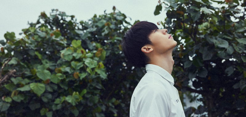 愛する人を救うため、時空を超えて何度でも会いに行く　「劇場版 時をかける愛」予告
