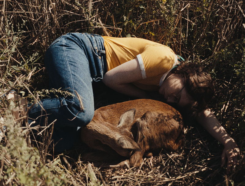 自分だけのもののはず体が、自分の思い通りにならないことへの、少女たちの違和感 「落下音」本予告