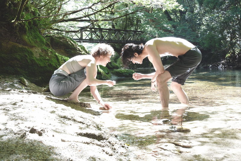 愛のかたちと命のつながりをモチーフに、失踪と心臓移植の現実を重ねて描く 「たしかにあった幻」予告