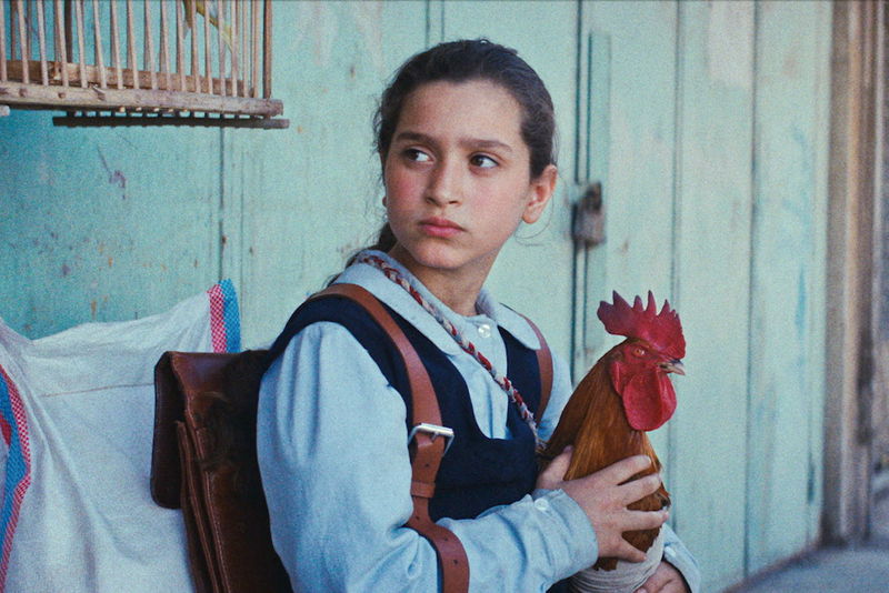 1990年代イラク　フセイン大統領を祝うケーキ係に指名された9歳の少女の奮闘　「大統領のケーキ」公開決定