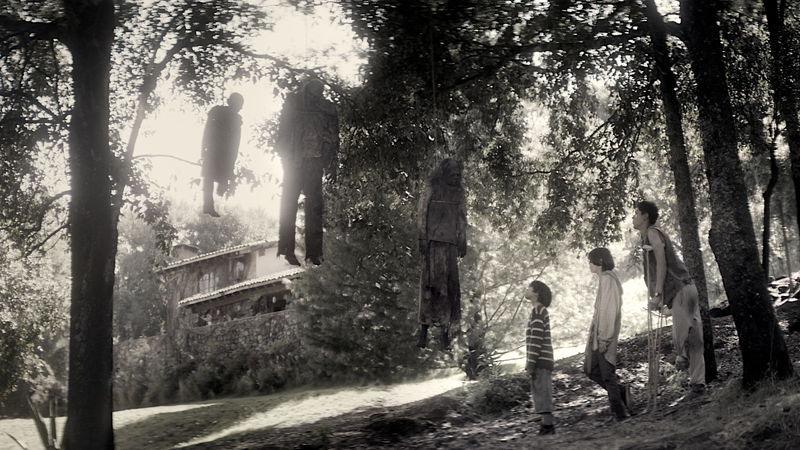 感染で壊滅した世界　森で生きる三人兄弟　厳格なルールが人間性を試す最大の恐怖に　「パルブロス」予告