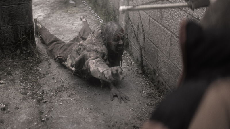 感染で壊滅した世界　森で生きる三人兄弟　厳格なルールが人間性を試す最大の恐怖に　「パルブロス」予告