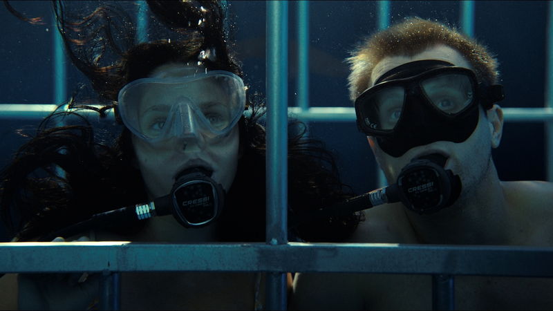 サイコパス船長　怖がる乗客に「Baby Shark」を歌って勇気づける　「デンジャラス・アニマルズ」本編映像