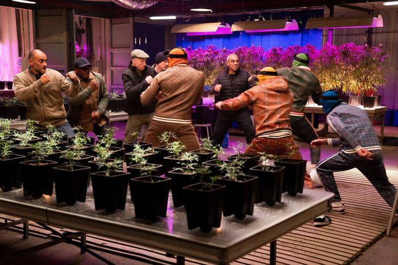 謎のトラックスーツ集団がマリファナ王の大麻栽培農園を襲撃　「ジェントルメン」本編映像