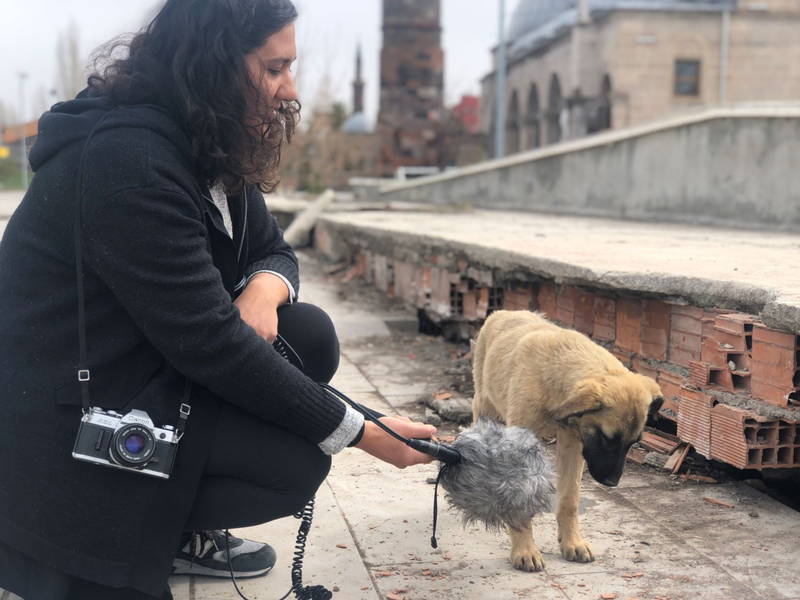 犬目線のローアングル　犬の聴覚を映画的に表現　「ストレイ 犬が見た世界」メイキング