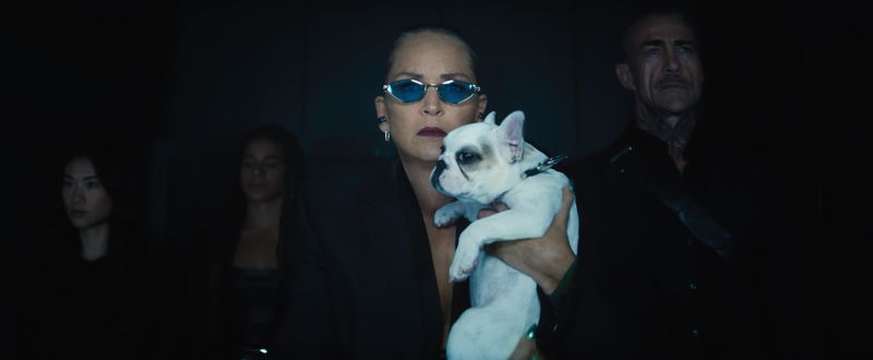 シャロン・ストーンが“容赦はしない女”に　実は殺し屋のさえない父親再び　「Mr.ノーバディ2」公開決定