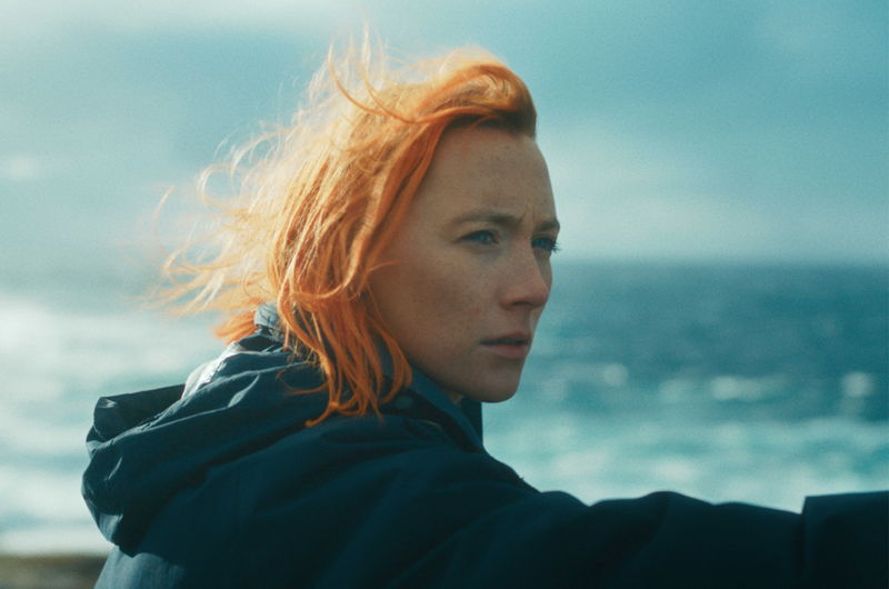 大都会の喧騒の中で自分を見失った生物学者　新たな生き方を模索　「おくびょう鳥が歌うほうへ」公開決定