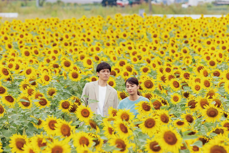 生田斗真＆尾野真千子　ひまわり畑に囲まれた姿　「渇水」場面写真