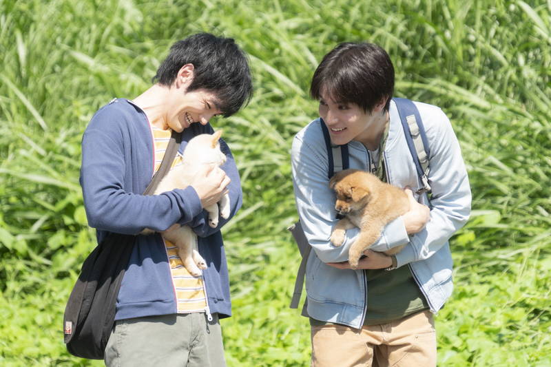 林遣都、中川大志、大原櫻子が、犬や猫のために奮闘　「犬部！」冒頭8分本編映像