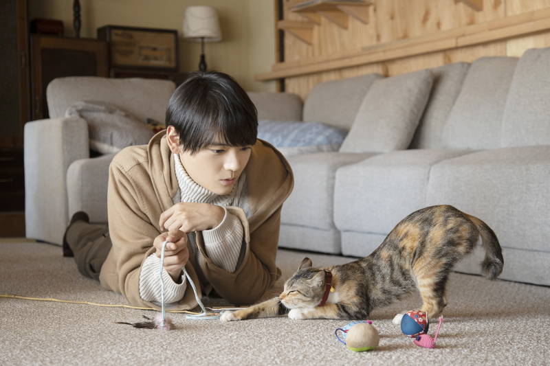 ドラマ「ねこ物件」映画化決定　猫と暮らすシェアハウスが舞台の癒し猫エンターテインメント