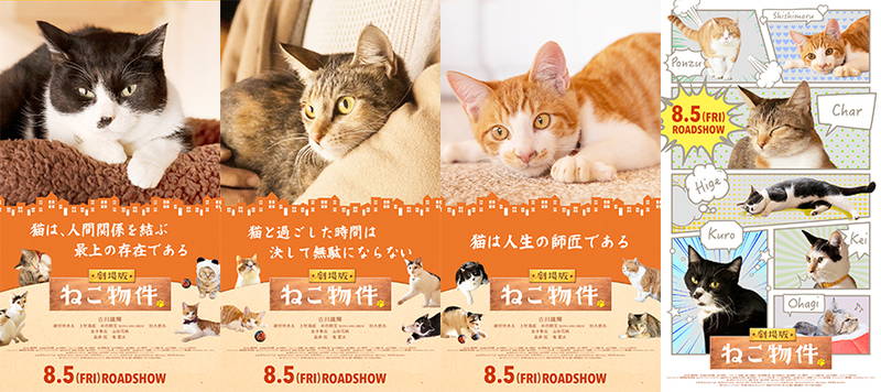 古川雄輝らが、SNSにアップする猫写真選びで大はしゃぎ　劇場版「ねこ物件」本編映像