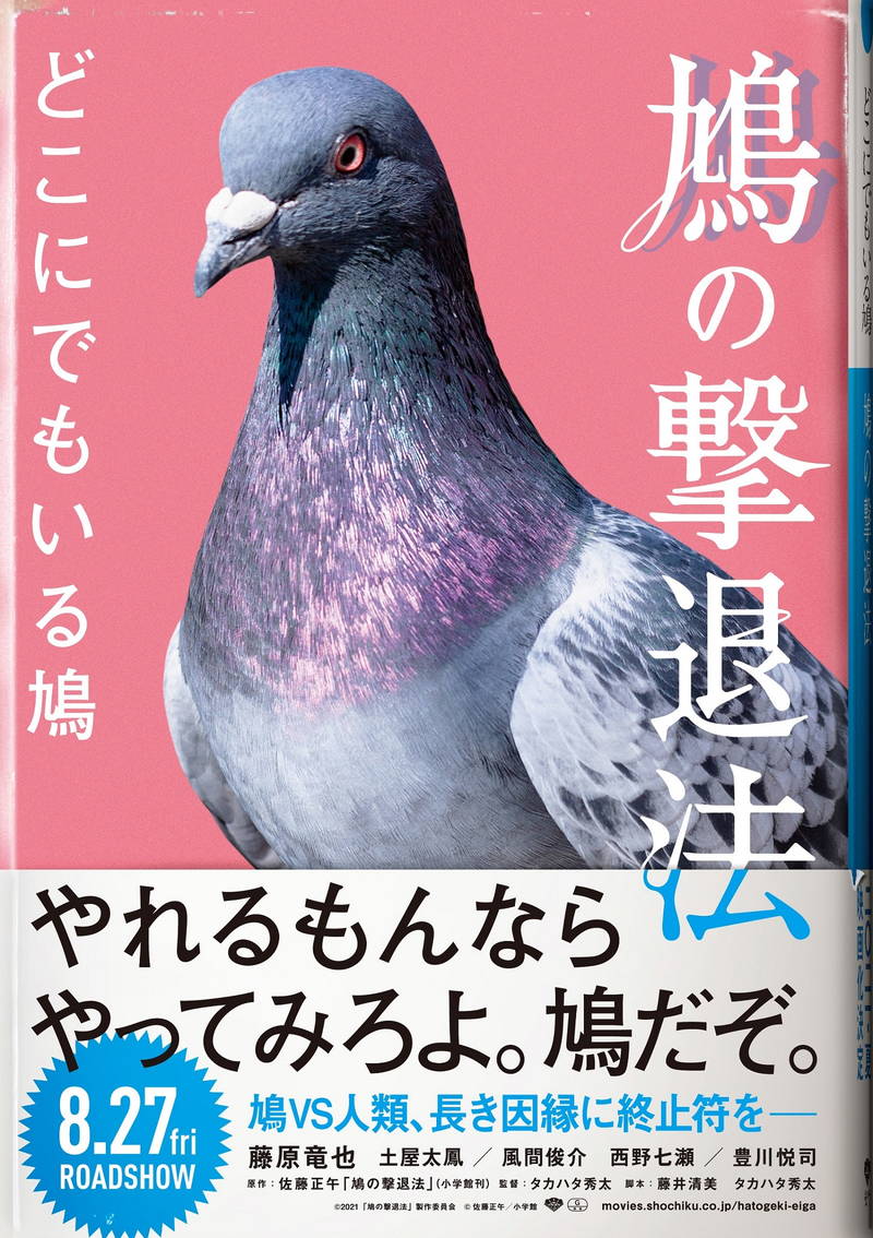 藤原竜也が伝説の鳩撃退師役？　「鳩の撃退法」ホームページがエイプリルフール限定のフェイクビジュアルに