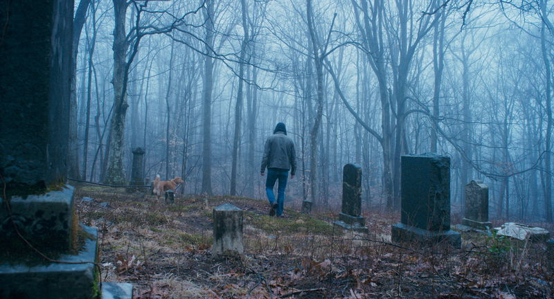 犬視点で感じる“邪悪な何か”　犬の感じる恐怖を体感できる没入感　「GOOD BOY／グッド・ボーイ」特報